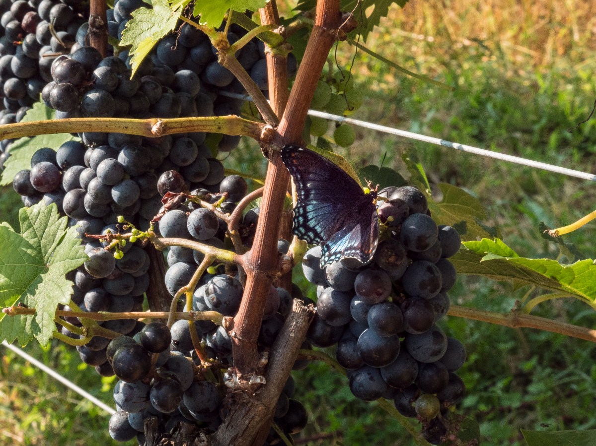 A Lesson From Those Striving for&nbsp;Perfection