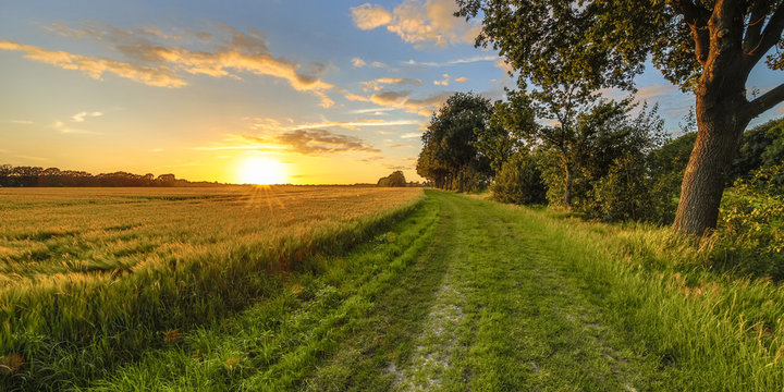 A Theology of&nbsp;Summer